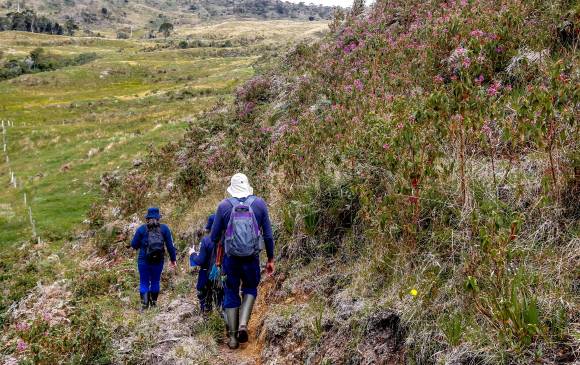 Escazú, con vía libre y sin decisiones en Colombia