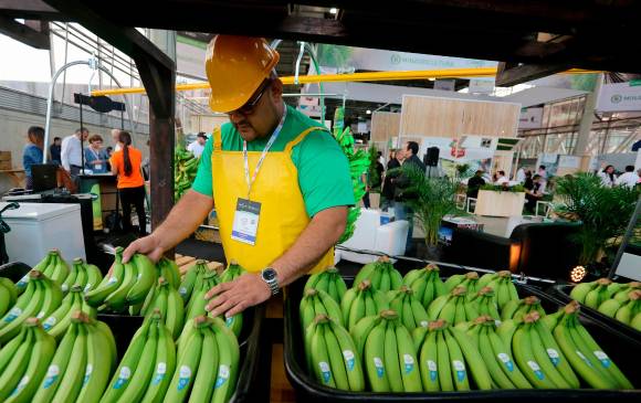 Expo Agrofuturo es uno de los espacios relevantes para el sector agropecuario y se celebrará entre el 24 y 26 de noviembre, en Plaza Mayor Medellín. FOTO Manuel Saldarriaga
