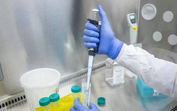 “Deltacron”, que se ha planteado como una nueva variante del SARS-CoV-2, sería en realidad producto de un error en la secuenciación (lectura y estudio) de los genomas del virus, es decir, no existiría. Los análisis continúan. FOTO CAMILO SUÁREZ.