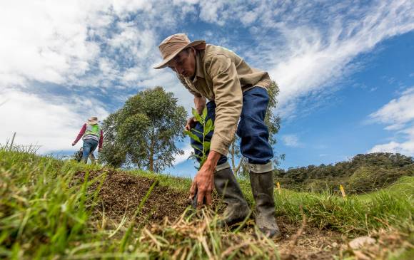 Las medianas y grandes empresas, que por razones de la pandemia hayan tenido que cerrar sus actividades propias, pero logren reactivarse, tendrán un período de transición para cumplir lo establecido en la Ley 2173. FOTO Camilo Suárez