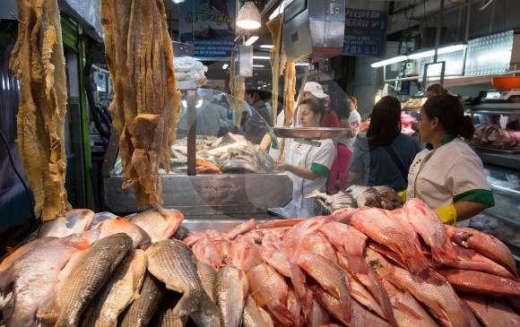 Se alista la venta de pescado para Semana Santa. FOTO: JÚLIO CÉSAR HERRERA