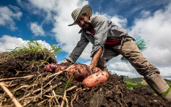 Campesinos impulsan referendo para mejorar su calidad de vida