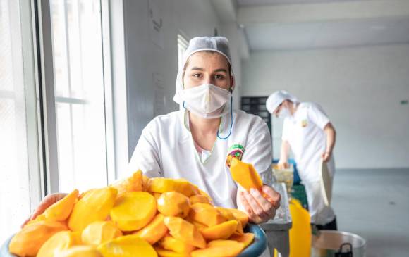 Para el año que viene el objetivo de Pulpas AMY es instalar una serie de equipos que le permita incrementar su capacidad de transformación de frutas e incluso producir jugos. FOTO Camilo Suárez