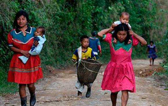 Comunidades indígenas han paliado la pandemia con remedios tradicionales. Foto: Julio César Herrera