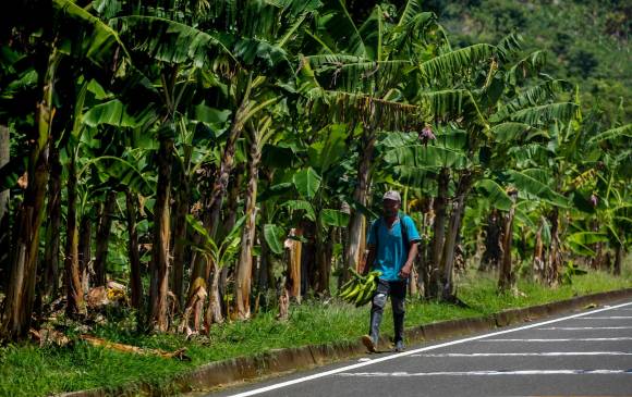 Las víctimas reclaman a Dorance Romero 31 predios en Urabá que estarían a nombre de su hija. FOTO: CAMILO SUÁREZ