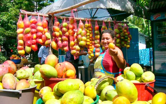 El consumo de mango en Estados Unidos ha subido 63% en los últimos 10 años. FOTO: COLPRENSA