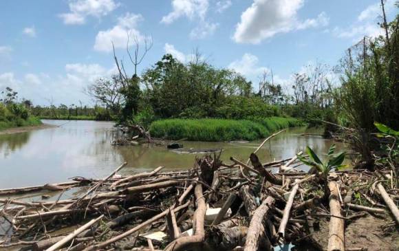 Miles de toneladas de desechos y materiales como madera se extraen anualmente de los afluentes del río León, con lo cual se evitan desastres causados por inundaciones. FOTO cortesía augura