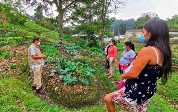 La ecohuerta de la U. de M. será inspiración para los nuevos proyectos productivos y de agroecología de las indígenas Nasa, del Cauca.