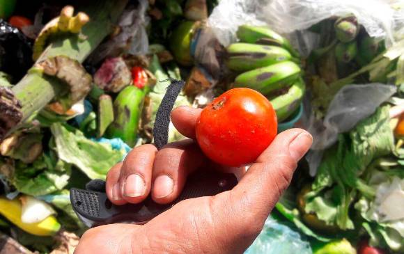 El 40% de toda la comida que producimos en el planeta no se come. Foto Archivo
