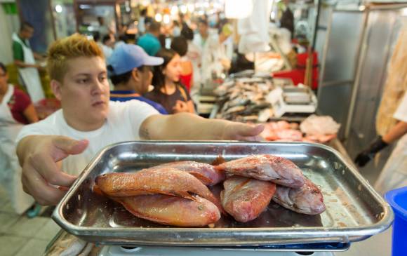 El consumo per cápita de pescado en el país culminó el año pasado en 8,8 kilos. FOTO Edwin Bustamante