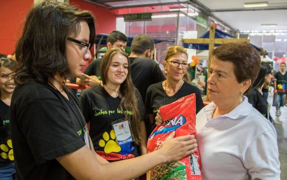 La Fundación Donatón por los Animales ha realizado varias jornadas que son de gran apoyo para quienes luchan en favor de los gatos y perros maltratados y en abandono. FOTO ARCHIVO