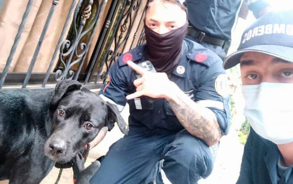 Los bomberos que encontraron al perro compartieron esta imagen. El animal fue llevado al albergue La Perla. FOTO: CORTESÍA.