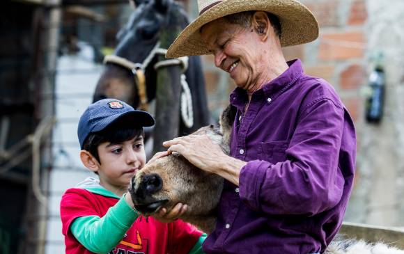 Eleázar, el hombre que salva yeguas maltratadas