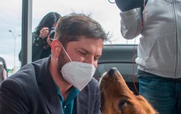 Brownie, Dylan y Comandante: boom de perros de los presidentes