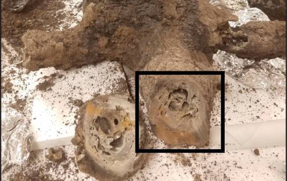 ¿Rayos ayudaron a crear vida primitiva en la Tierra?