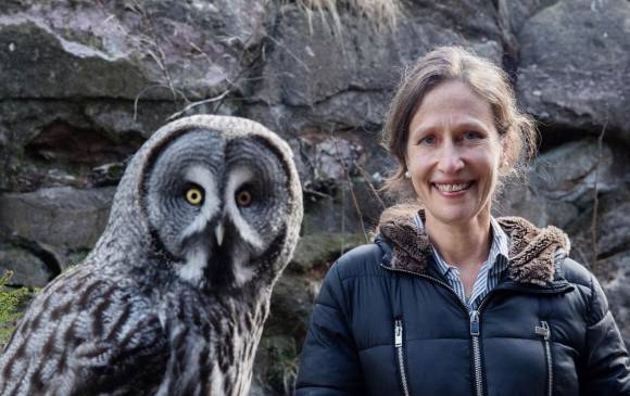 Ackerman hace énfasis en que aún se necesita estudiar más el cerebro de las aves. FOTO Sofia Runarsdotter