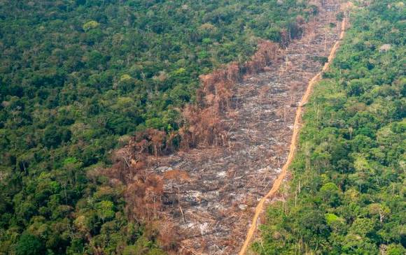 El Gobierno identificó 11 puntos en el Parque Nacional Natural Chiribiquete donde hay acciones de deforestación por parte de grupos ilegales. FOTO CORTESÍA MINDEFENSA