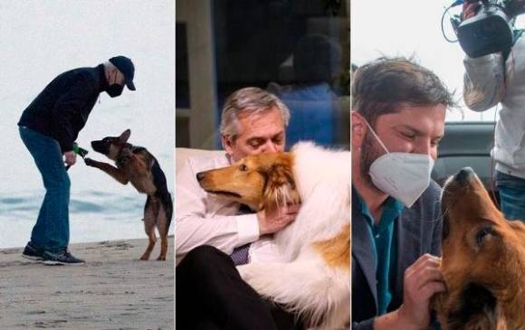 Joe Biden con su perro Commander, Alberto Fernández con Dylan y Gabriel Boric con Brownie.
