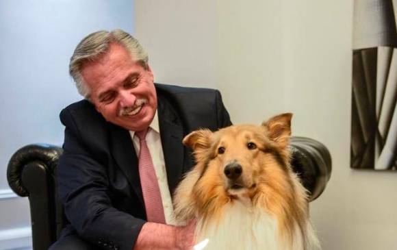 Brownie, Dylan y Comandante: boom de perros de los presidentes