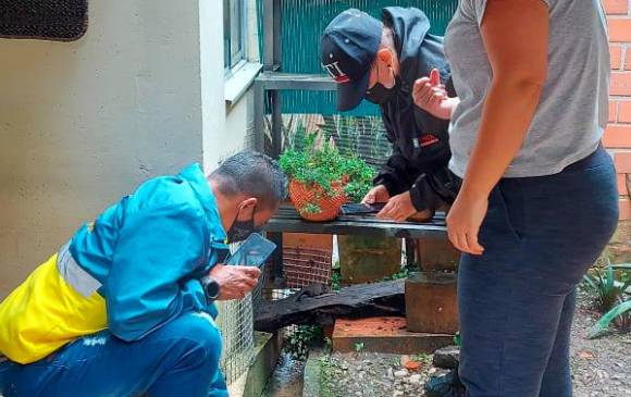 Fiscalía investiga envenenamiento de mascotas en unidad de Envigado 