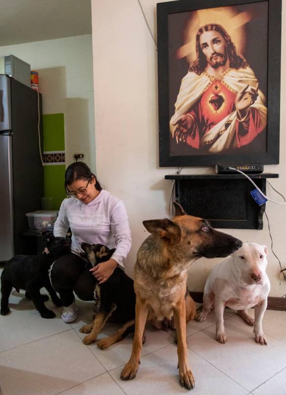 La víctima Elkin David Correa, de 40 años, era hincha del DIM, tenia ocho mascotas y dejó un legado de amor a las personas que compartió. Yaneth Valencia, su esposa, acompañada de Kira, Thor, Mahia y Sacha Foto: Edwin Bustamante