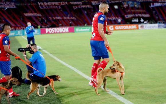 Los jugadores saltaron al gramado del Atanasio en compañía de un perro víctima de abandono. Foto Donaldo Zuluaga