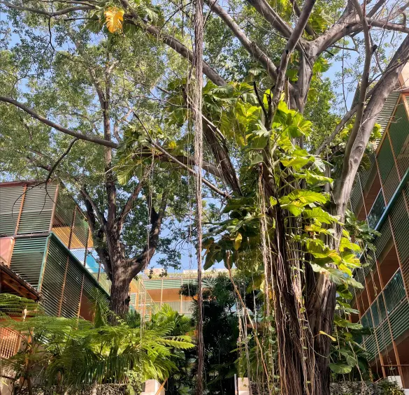 Santo Domingo, la primera joya del Nuevo Mundo