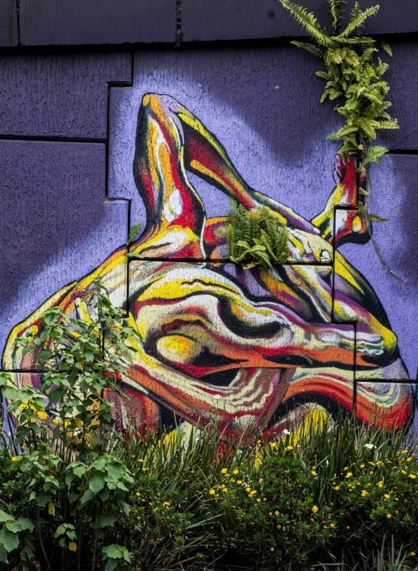 Este arte urbano es una forma creativa e interesante que tienen algunos artistas de combinar elementos del entorno urbano con el natural. Fotos Julio César Herrera.