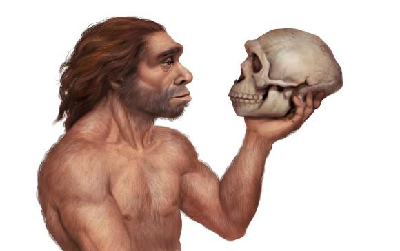 La investigación sugiere que el hueso se hirvió para ablandarlo antes de tallarlo. Foto: Shutterstock