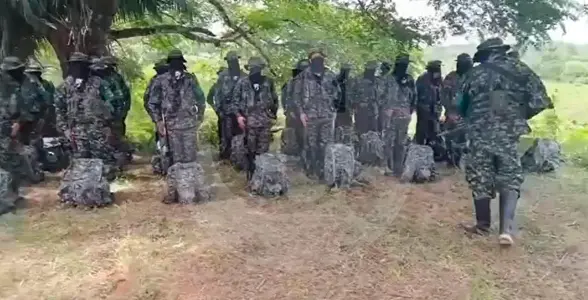 Pésima negociación: grupos criminales crecieron un 90% en el marco de la “paz total” y suman 28.802 integrantes