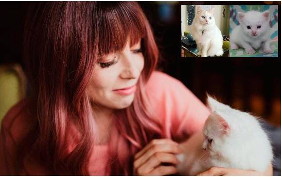 Clonación de mascotas, ¿el nuevo negocio que están impulsando los influenciadores en el mundo?