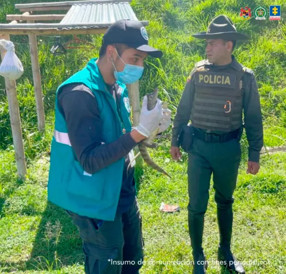 Judicializaron al hombre que habría maltratado a más de 30 animales en criadero ilegal en San Vicente, Antioquia
