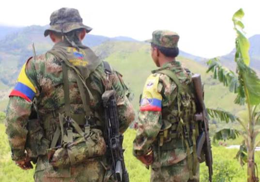 Disidencias de las Farc. Foto: redes
