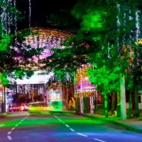 ¡Va a estar bueno! Así será la programación de Navidad en el centro de Medellín