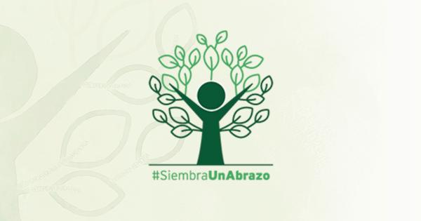 imagen redes sociales