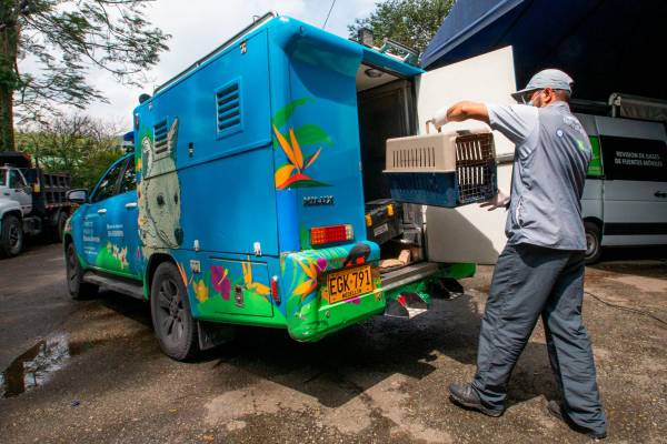 Los profesionales se moviliza en una de las dos ambulancias con las que cuentan los veterinarios del (CAV). Foto: Esneyder Gutiérrez