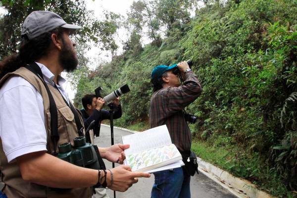 El sector de la Catedral es visitado frecuentemente por amantes de la naturaleza y el avistamiento de pájaros. IMAGEN DE REFERENCIA. ARCHIVO EL COLOMBIANO