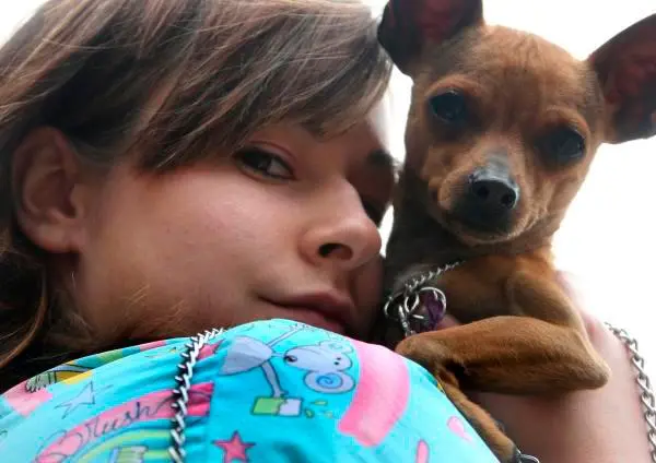 Los animales deben ser protegidos especialmente en esta temporada por las afectaciones de la pólvora. IMAGEN DE REFERENCIA: JUAN ANTONIO SÁNCHEZ