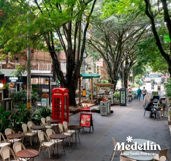 Vía Primavera. Su recorrido en el barrio Provenza te brinda moda, arte y vida nocturna.