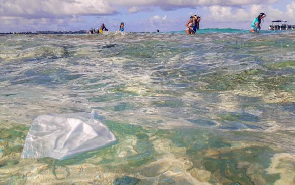 La ONG Oceans Asia reveló que la cifra de tapabocas liberados en el mar en 2021 fue de 1.560 millones aproximadamente. Foto: Juan Antonio Sánchez Ocampo