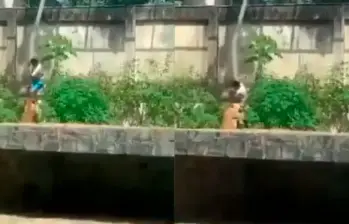 Joven falleció tras invadir la jaula de una leona en Brasil