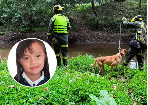 Tras 18 días de búsqueda, Valeria Afanador, de 10 años, apareció sin vida a unos cuantos metros de su colegio, lugar donde fue vista por última vez. Imagen: tomada de X, @PoliciaColombia y cortesía. 