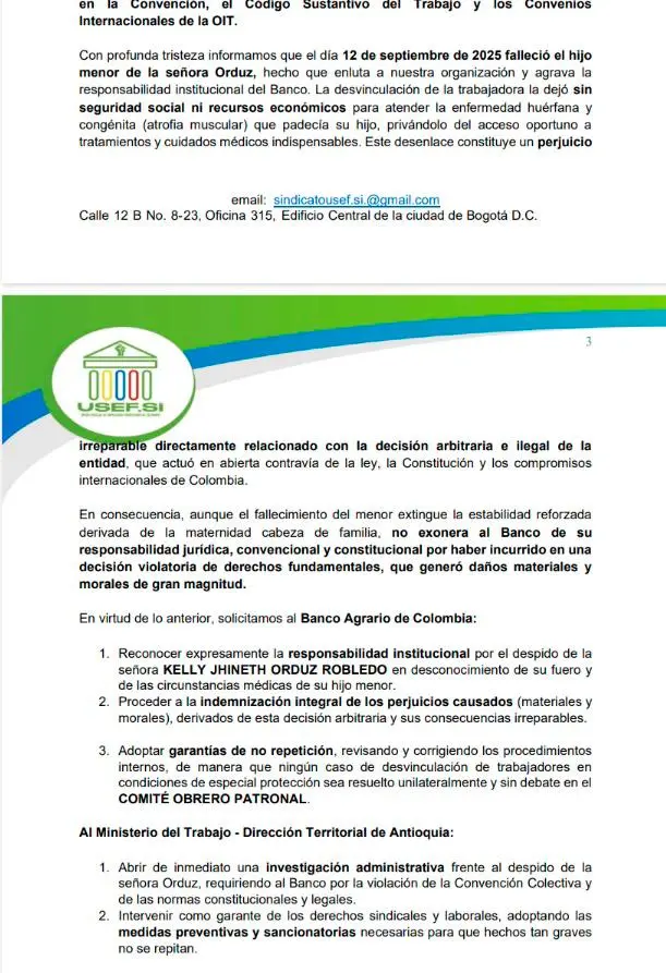 InfogrÃ¡fico