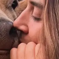 Una vaca le dio vida a un santuario de segundas oportunidades