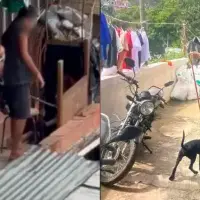 Hasta los niños participaron: cachorro era golpeado en Itagüí