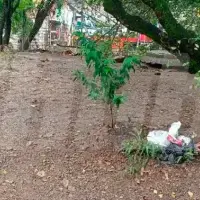 ¿Un robo o una venganza? En Bello mataron a un hombre a puñaladas