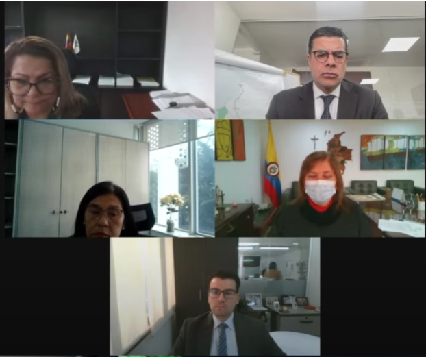 La audiencia en la que se leyeron los alegatos finales de las partes se realizó de manera virtual este martes. FOTO: Cortesía