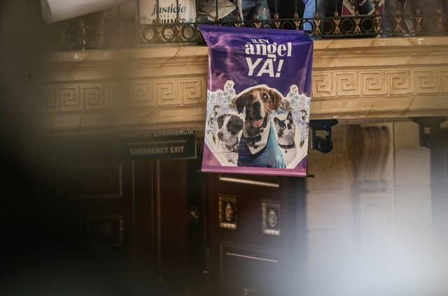 El caso ocurrió en el barrio San Cayetano, de Manizales, y es investigado como presunto maltrato animal bajo la Ley Ángel. FOTO: Colprensa