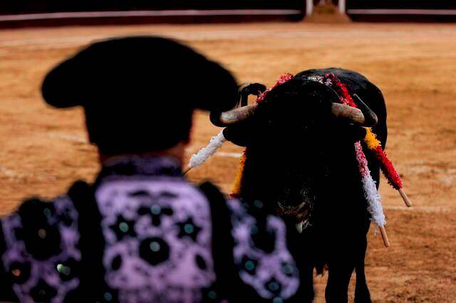 El Ministerio del Trabajo había suspendido la temporada taurina por cuenta de la polémica que generó la participación del llamado ‘niño prodigio del toreo’, Marcos Pérez, de apenas 15 años. FOTO: COLPRENSA