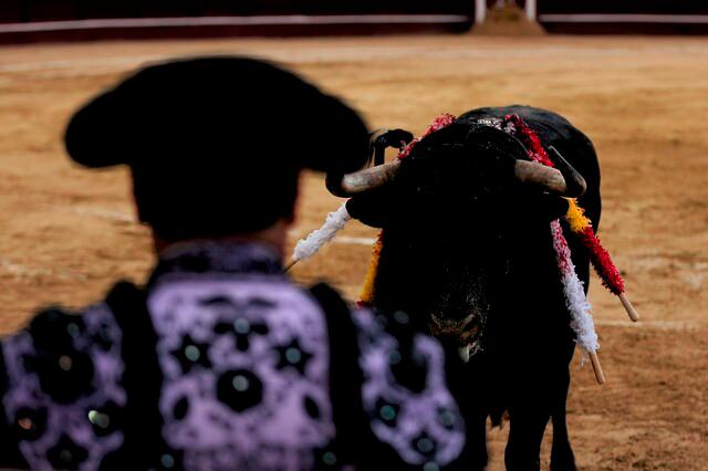 En noviembre se hundió otro proyecto de ley que buscaba prohibir las corridas de toros. FOTO: Colprensa